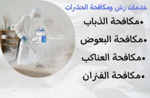 خدمة رش ومكافحة الحشرات باستخدام مواد آمنة وفعالة من شركة المدينة للتنظيف