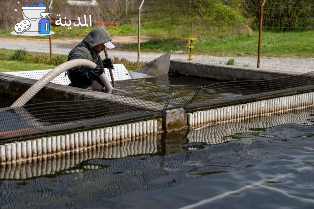 نقل عفش